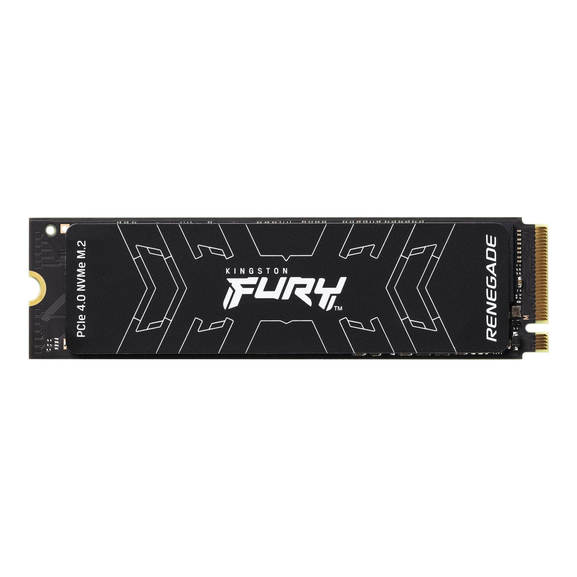 Kingston Technology 500G FURY RENEGADE M.2 2280 NVMe SSD