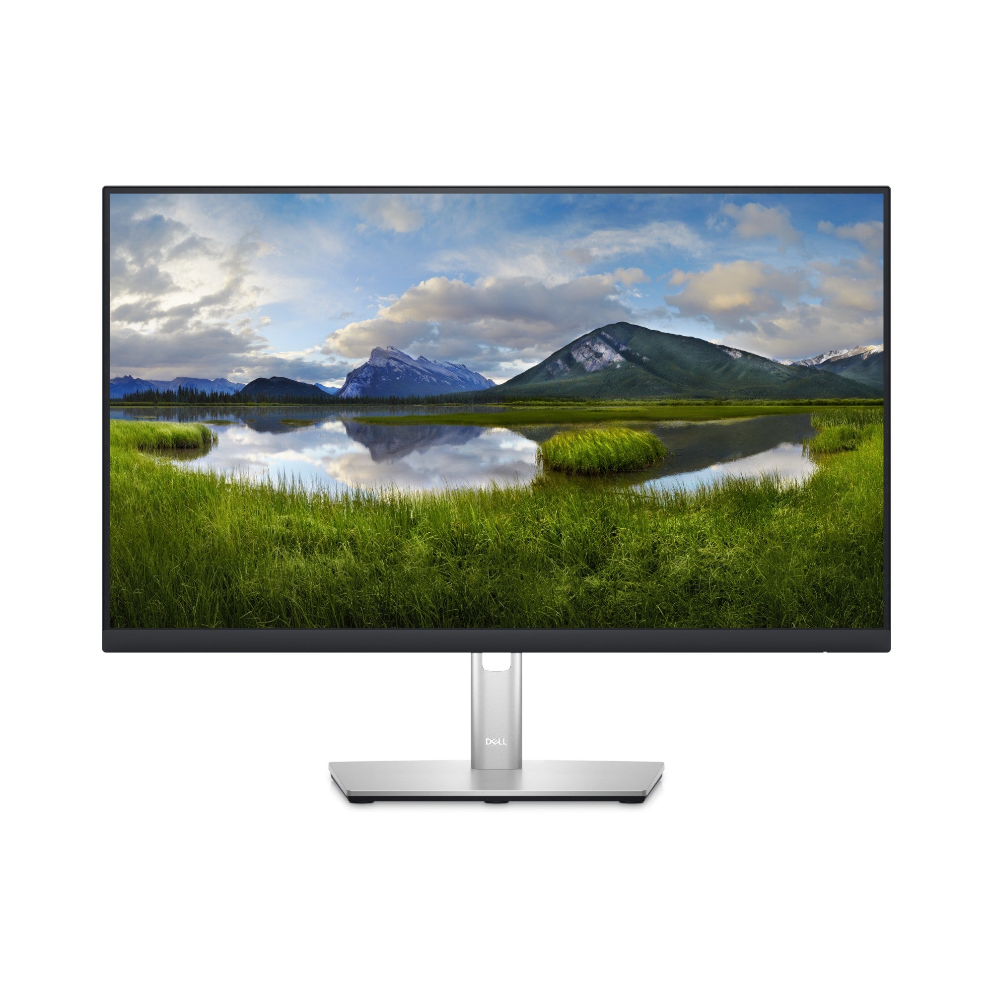 DELL P Series 24 Monitor - P2423D  - Monitors & Accessories - DELL